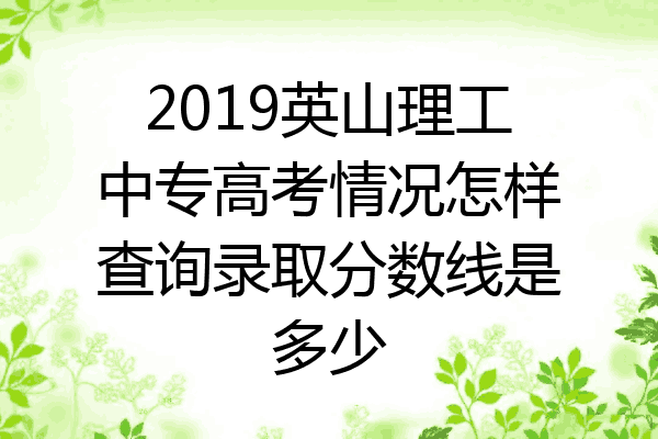 2019英山理工中专高考情况怎样查询录取分数线是多少