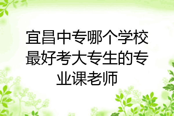 宜昌中专哪个学校最好考大专生的专业课老师