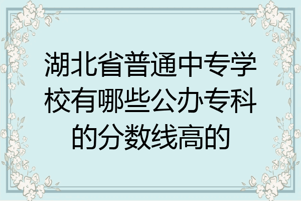 湖北省普通中专学校有哪些公办专科的分数线高的
