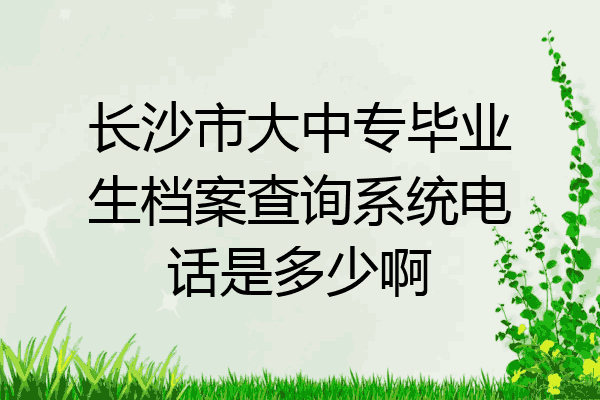 长沙市大中专毕业生档案查询系统电话是多少啊