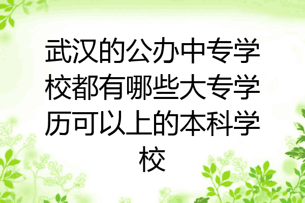 武汉的公办中专学校都有哪些大专学历可以上的本科学校