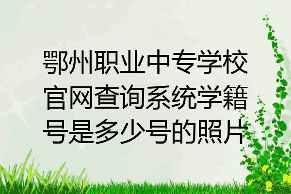 鄂州职业中专学校官网查询系统学籍号是多少号的照片