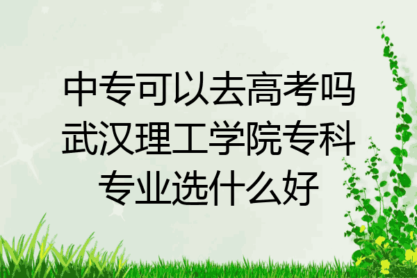 中专可以去高考吗武汉理工学院专科专业选什么好