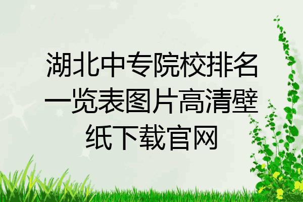 湖北中专院校排名一览表图片高清壁纸下载官网