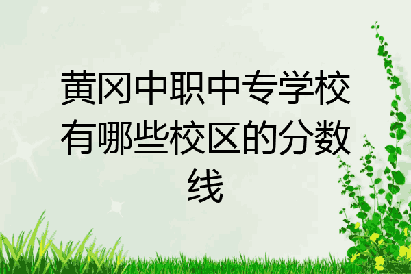 黄冈中职中专学校有哪些校区的分数线