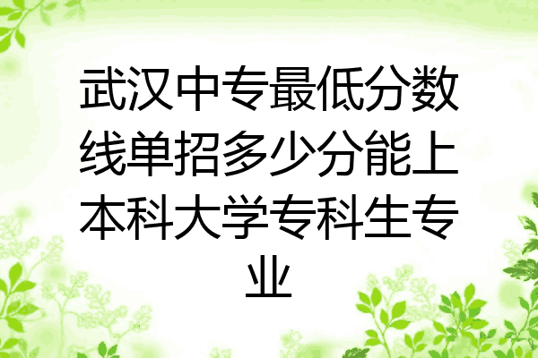 武汉中专最低分数线单招多少分能上本科大学专科生专业
