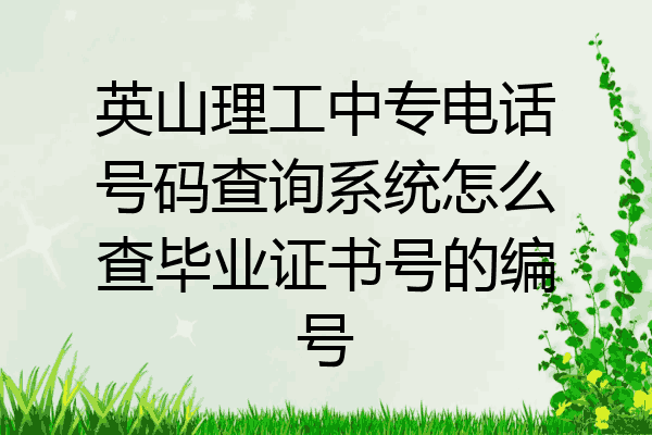 英山理工中专电话号码查询系统怎么查毕业证书号的编号
