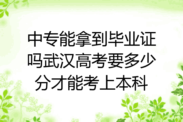 中专能拿到毕业证吗武汉高考要多少分才能考上本科