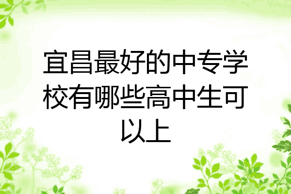 宜昌最好的中专学校有哪些高中生可以上