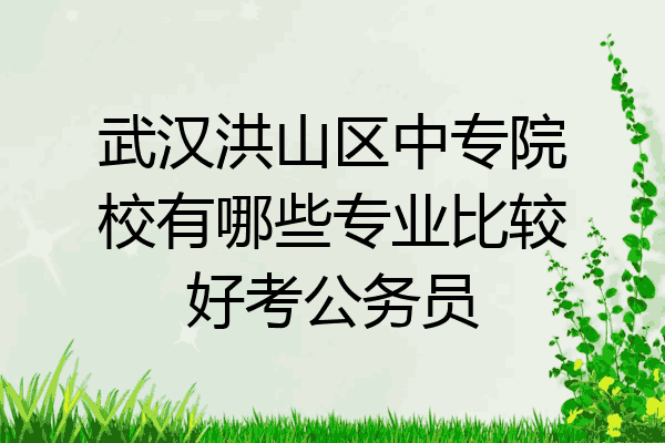 武汉洪山区中专院校有哪些专业比较好考公务员