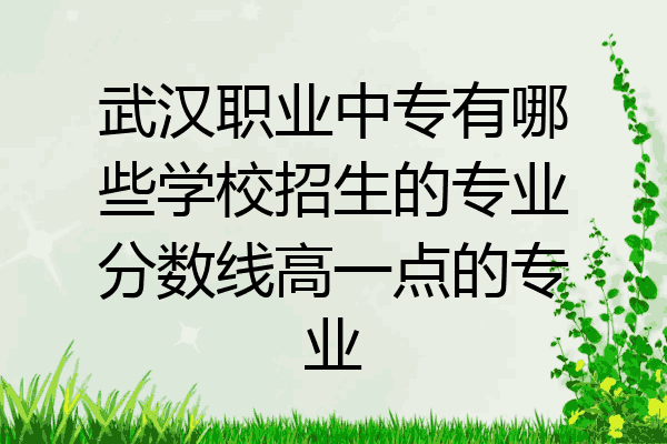 武汉职业中专有哪些学校招生的专业分数线高一点的专业