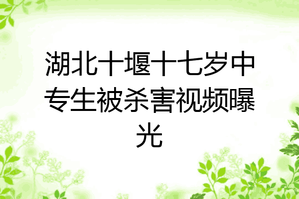 湖北十堰十七岁中专生被杀害视频曝光