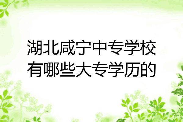 湖北咸宁中专学校有哪些大专学历的