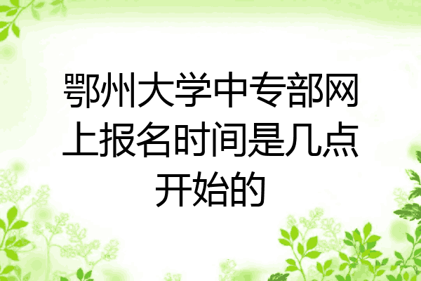 鄂州大学中专部网上报名时间是几点开始的