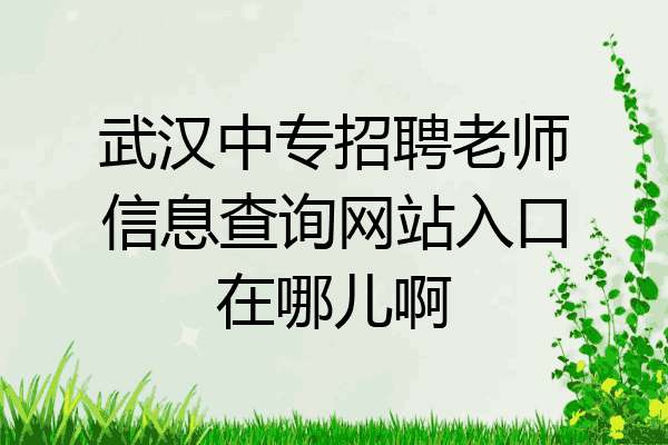 武汉中专招聘老师信息查询网站入口在哪儿啊