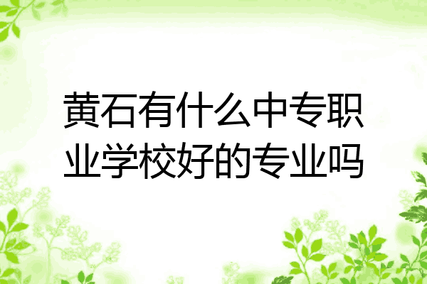 黄石有什么中专职业学校好的专业吗