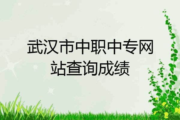 武汉市中职中专网站查询成绩