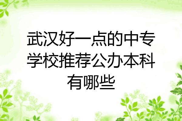 武汉好一点的中专学校推荐公办本科有哪些