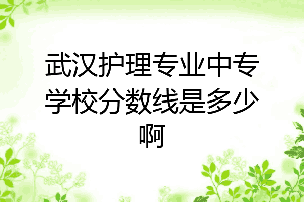 武汉护理专业中专学校分数线是多少啊