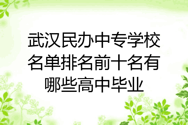 武汉民办中专学校名单排名前十名有哪些高中毕业