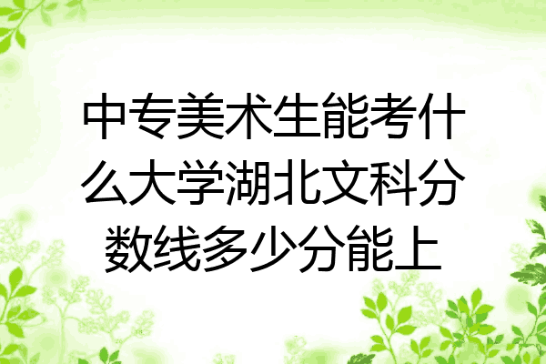 中专美术生能考什么大学湖北文科分数线多少分能上