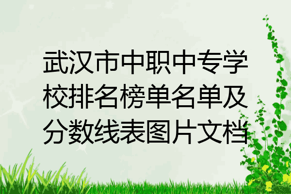 武汉市中职中专学校排名榜单名单及分数线表图片文档