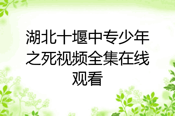 湖北十堰中专少年之死视频全集在线观看