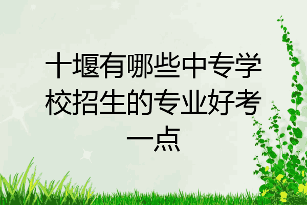 十堰有哪些中专学校招生的专业好考一点