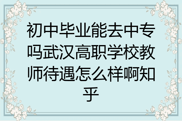 初中毕业能去中专吗武汉高职学校教师待遇怎么样啊知乎