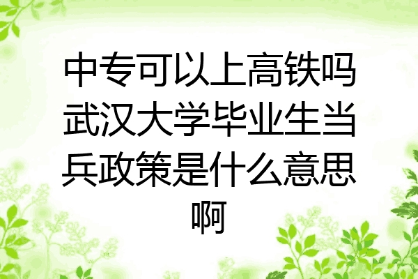 中专可以上高铁吗武汉大学毕业生当兵政策是什么意思啊