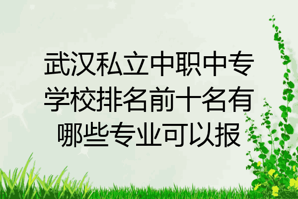 武汉私立中职中专学校排名前十名有哪些专业可以报