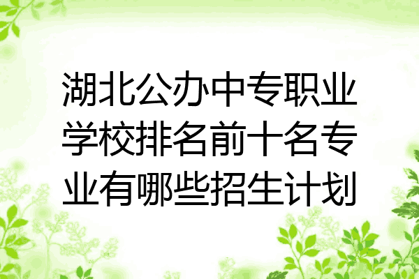 湖北公办中专职业学校排名前十名专业有哪些招生计划