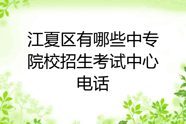 江夏区有哪些中专院校招生考试中心电话