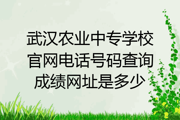 武汉农业中专学校官网电话号码查询成绩网址是多少