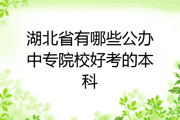 湖北省有哪些公办中专院校好考的本科