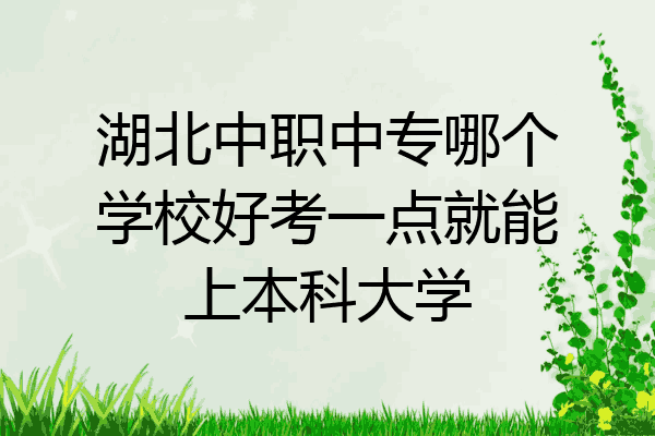 湖北中职中专哪个学校好考一点就能上本科大学