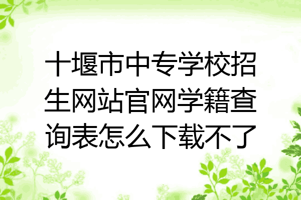 十堰市中专学校招生网站官网学籍查询表怎么下载不了