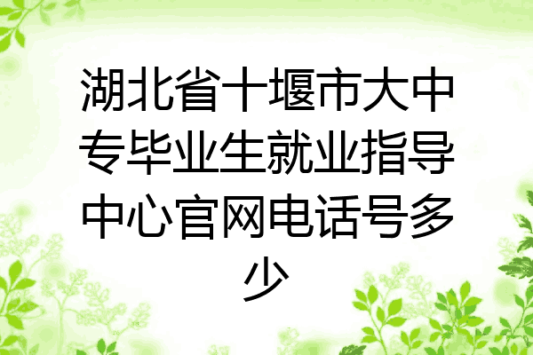 湖北省十堰市大中专毕业生就业指导中心官网电话号多少