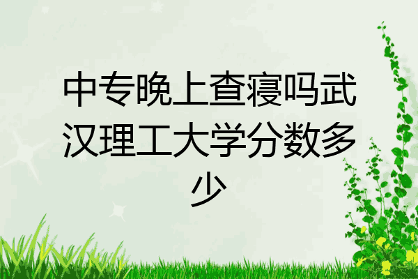中专晚上查寝吗武汉理工大学分数多少