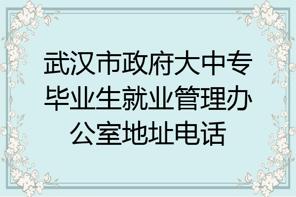 武汉市政府大中专毕业生就业管理办公室地址电话