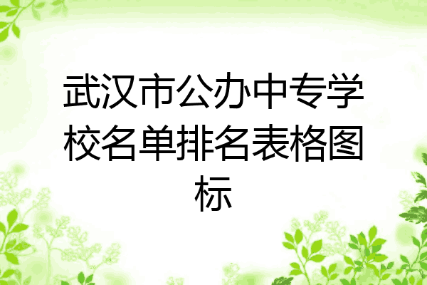 武汉市公办中专学校名单排名表格图标