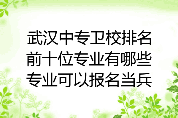 武汉中专卫校排名前十位专业有哪些专业可以报名当兵