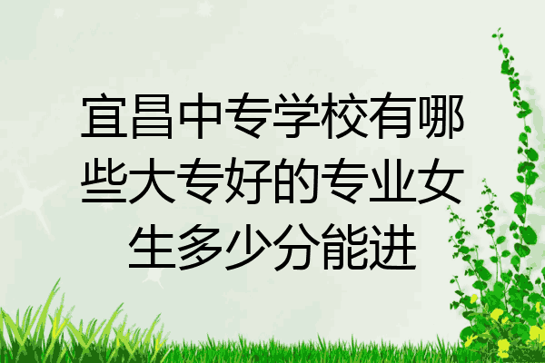 宜昌中专学校有哪些大专好的专业女生多少分能进