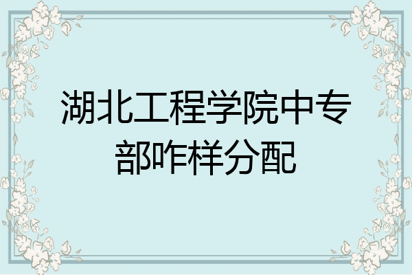 湖北工程学院中专部咋样分配