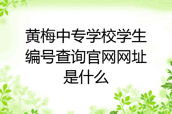 黄梅中专学校学生编号查询官网网址是什么