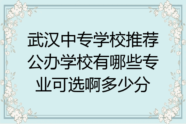 武汉中专学校推荐公办学校有哪些专业可选啊多少分