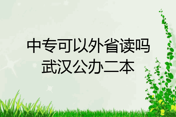 中专可以外省读吗武汉公办二本