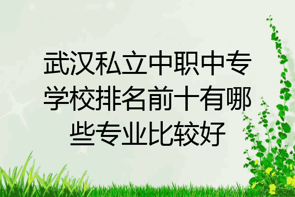 武汉私立中职中专学校排名前十有哪些专业比较好