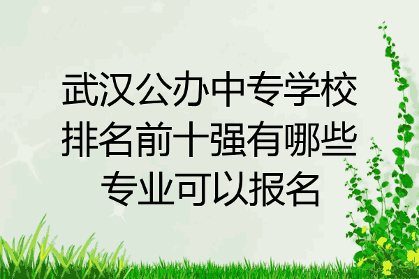 武汉公办中专学校排名前十强有哪些专业可以报名