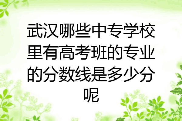 武汉哪些中专学校里有高考班的专业的分数线是多少分呢